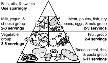 Food Pyramid