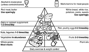 Food Pyramid