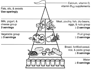 Food Pyramid